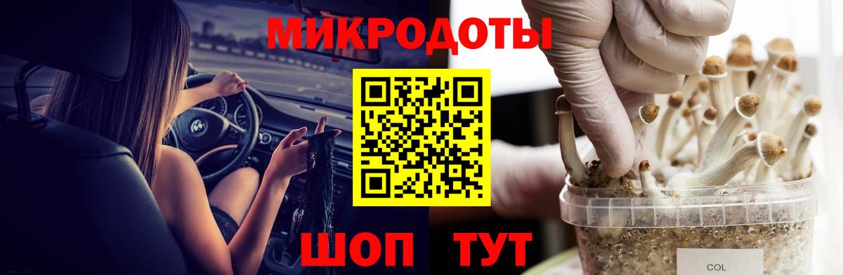 Псилоцибиновые грибы Psilocybine cubensis Рузаевка